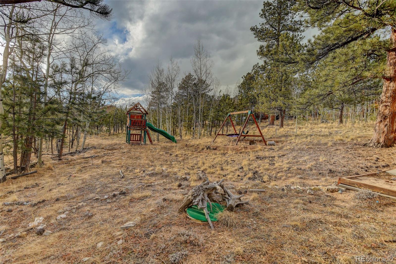 MLS Image #37 for 38  mesa court,bailey, Colorado