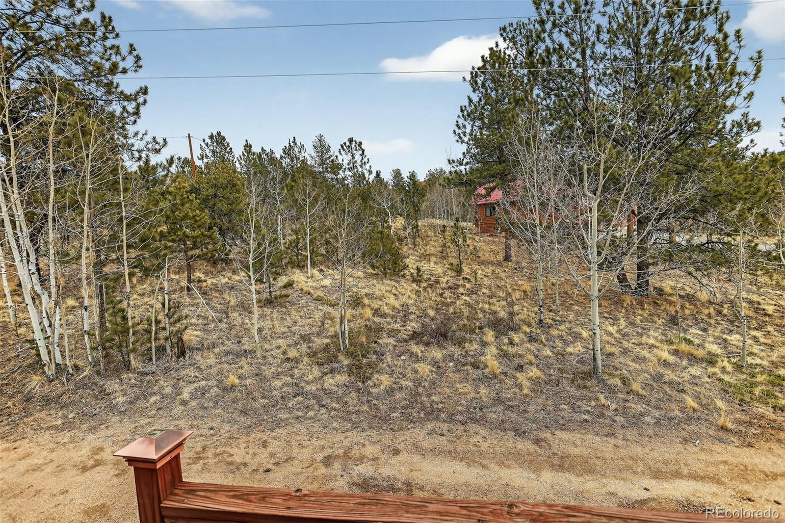 MLS Image #38 for 38  mesa court,bailey, Colorado