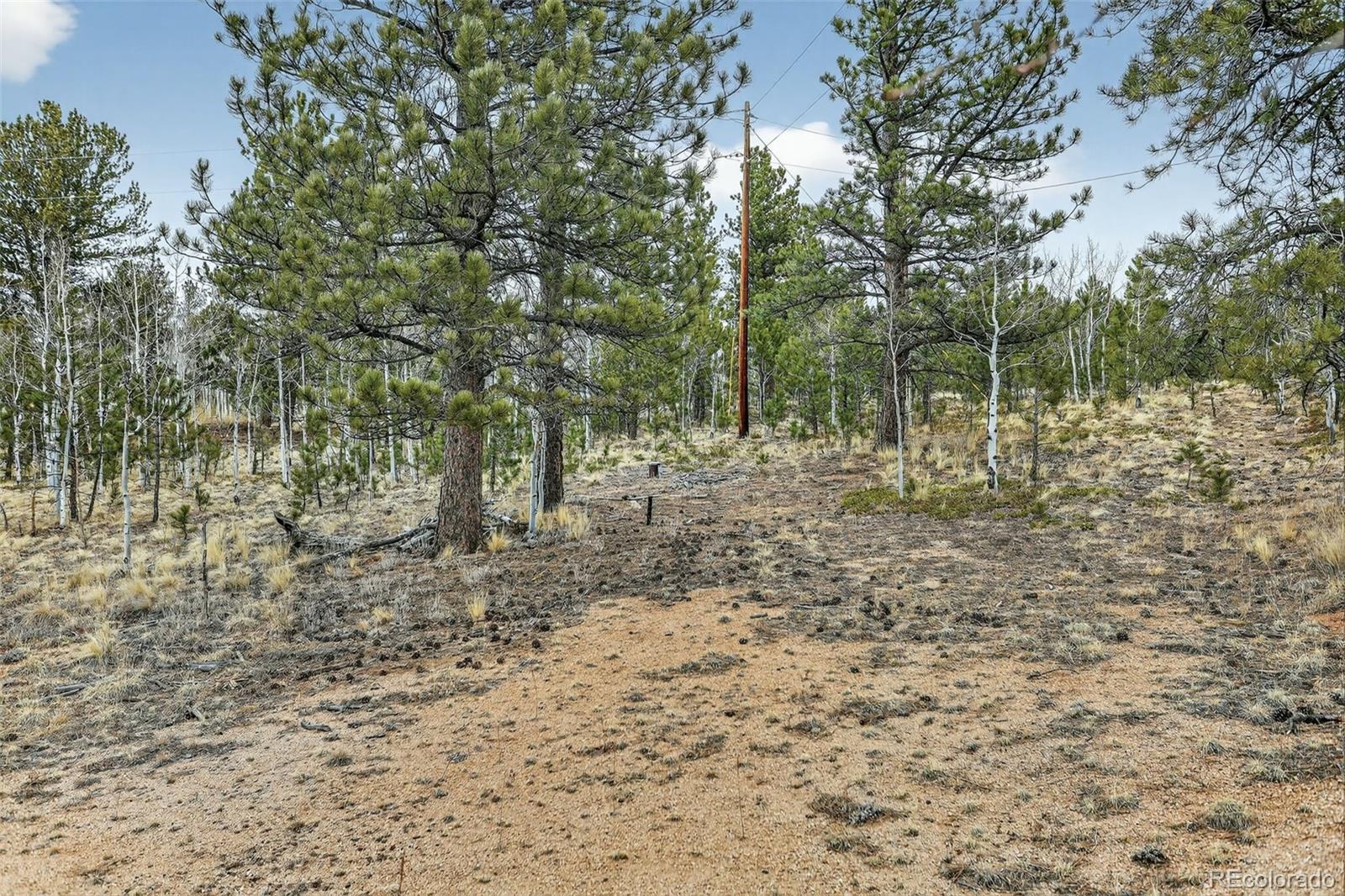 MLS Image #39 for 38  mesa court,bailey, Colorado