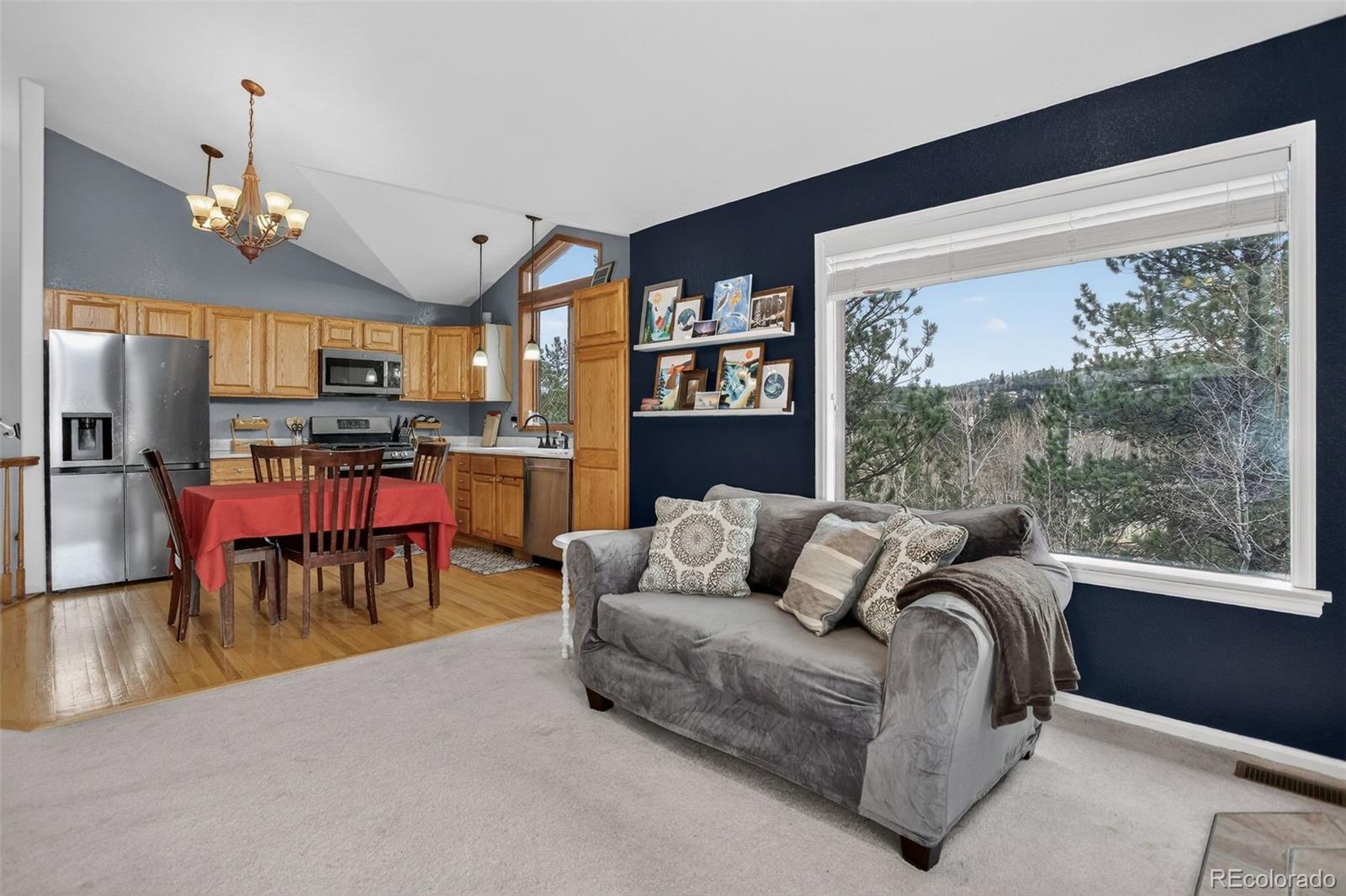 MLS Image #7 for 38  mesa court,bailey, Colorado