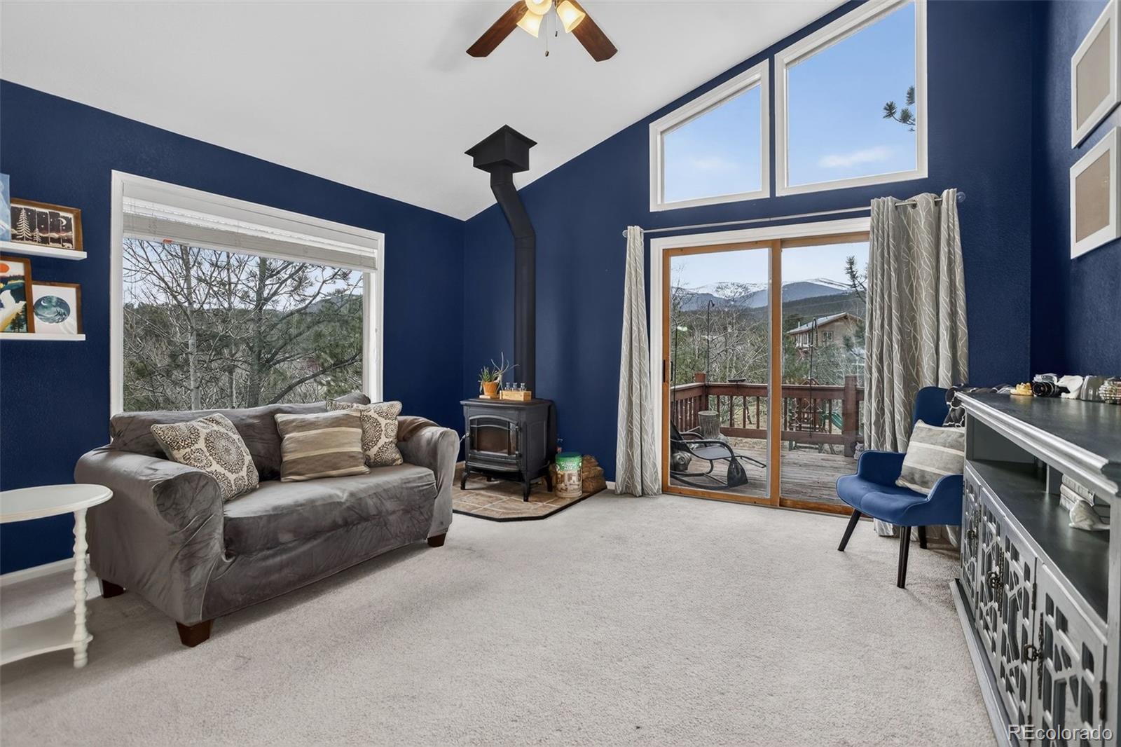MLS Image #9 for 38  mesa court,bailey, Colorado