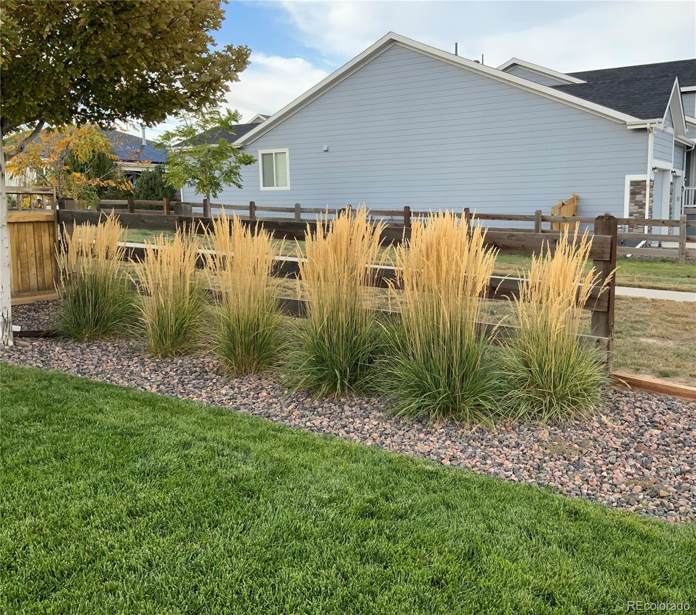 MLS Image #45 for 5569  cherry blossom drive,brighton, Colorado