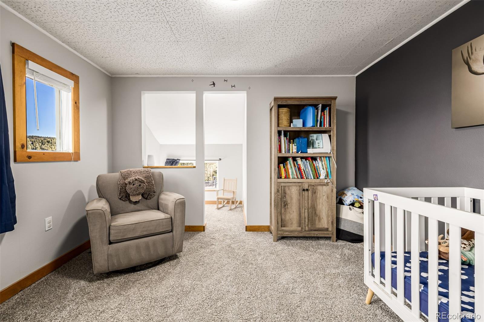 MLS Image #32 for 730  bendemeer drive,evergreen, Colorado