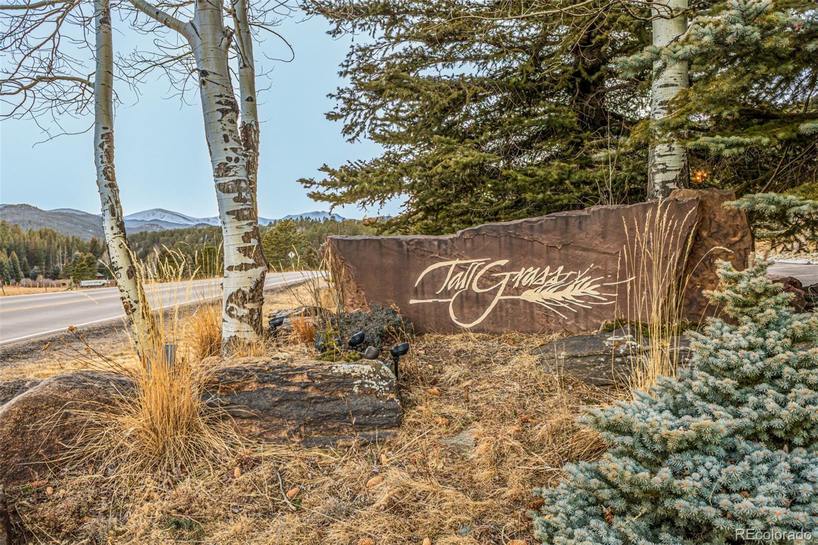 MLS Image #44 for 730  bendemeer drive,evergreen, Colorado