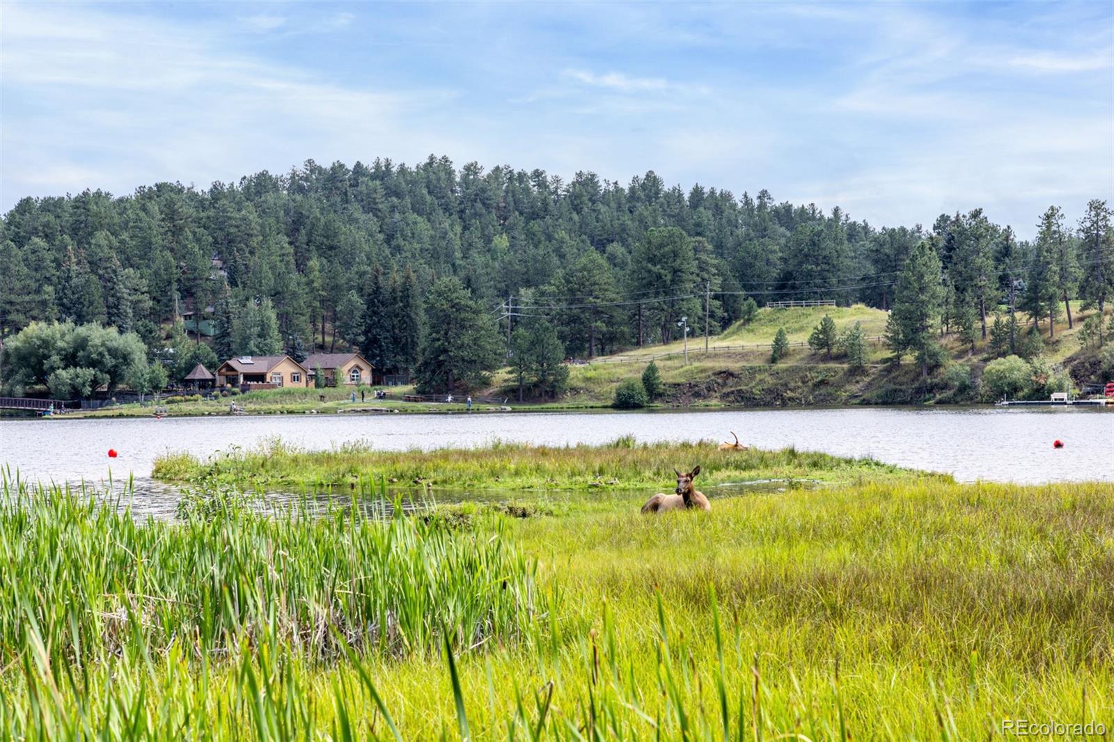 MLS Image #46 for 730  bendemeer drive,evergreen, Colorado