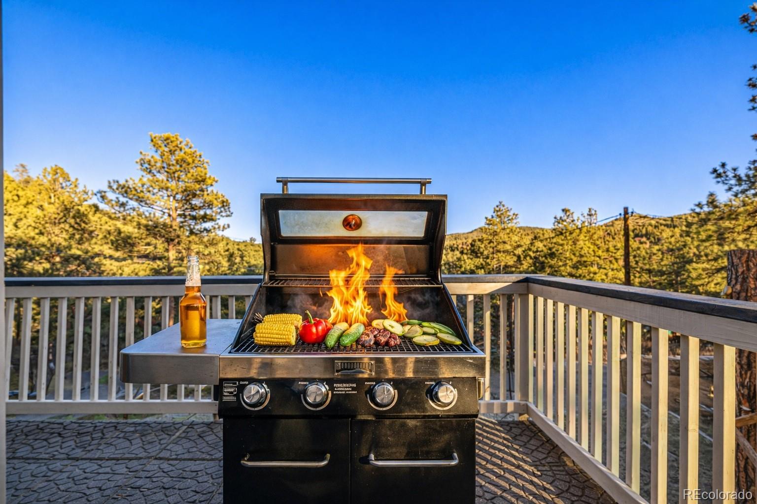 MLS Image #5 for 730  bendemeer drive,evergreen, Colorado