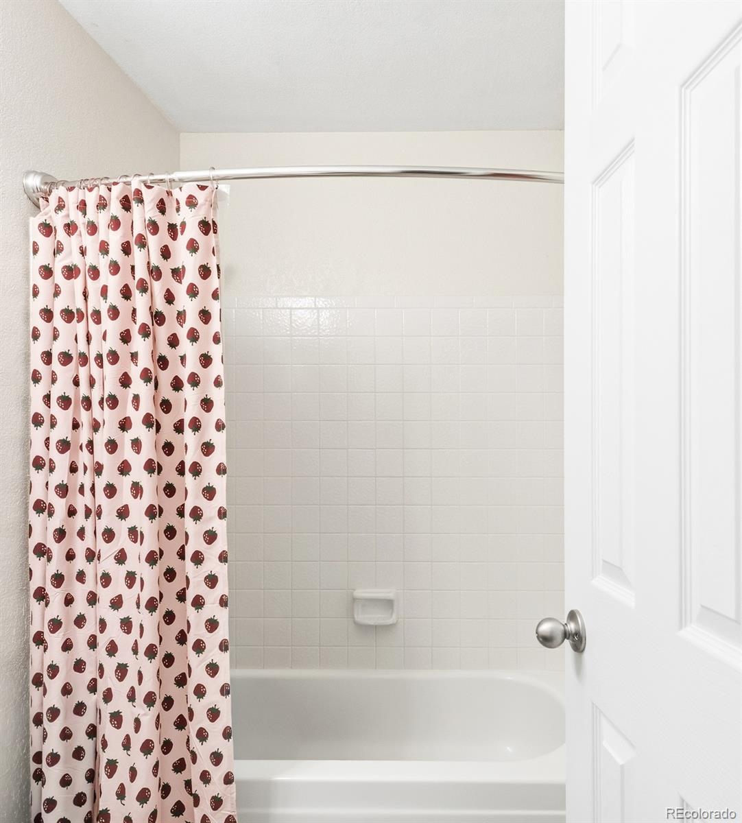 MLS Image #20 for 10886  bayfield way,parker, Colorado