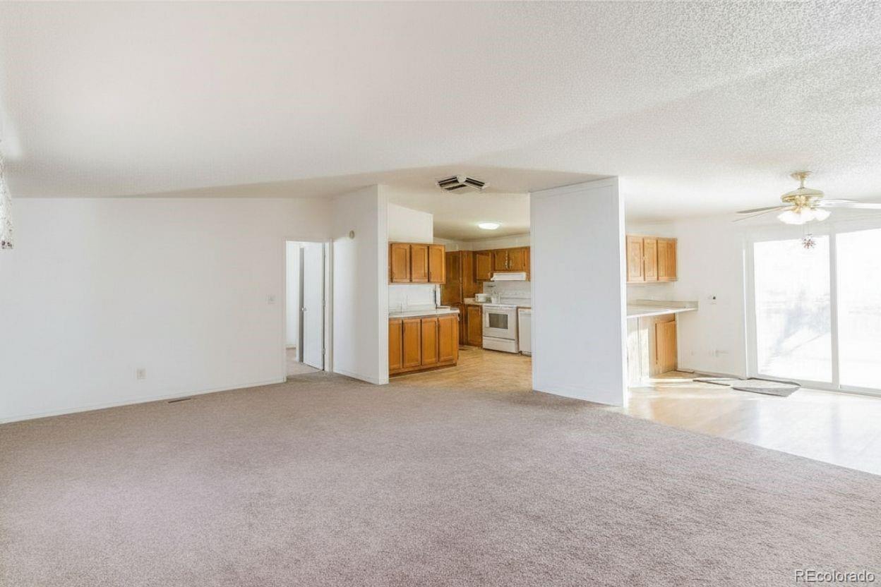 MLS Image #8 for 9024  madeleine street,denver, Colorado