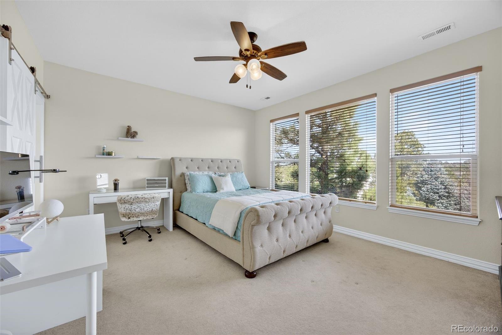 MLS Image #20 for 8668  windhaven drive,parker, Colorado