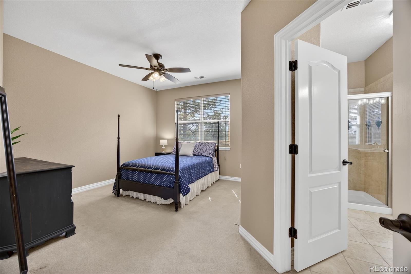 MLS Image #26 for 8668  windhaven drive,parker, Colorado