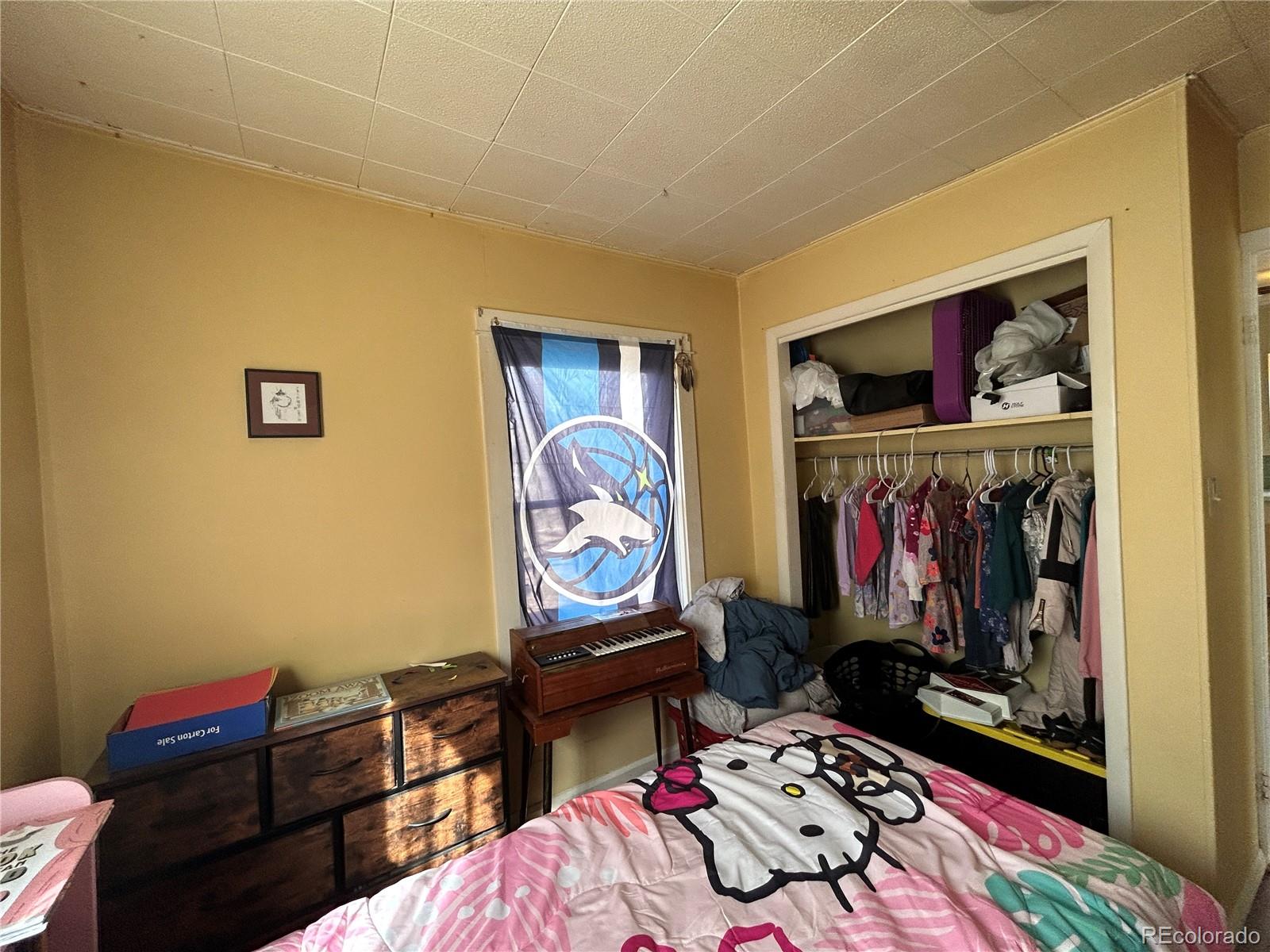 MLS Image #10 for 1010  san juan avenue,saguache, Colorado