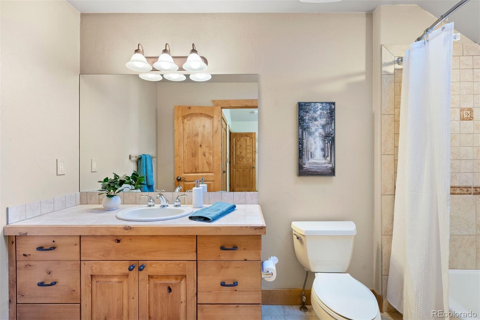 MLS Image #26 for 31271  island drive,evergreen, Colorado
