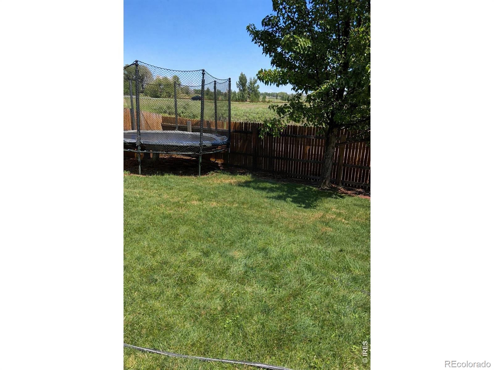 MLS Image #37 for 12532  alcott street,broomfield, Colorado
