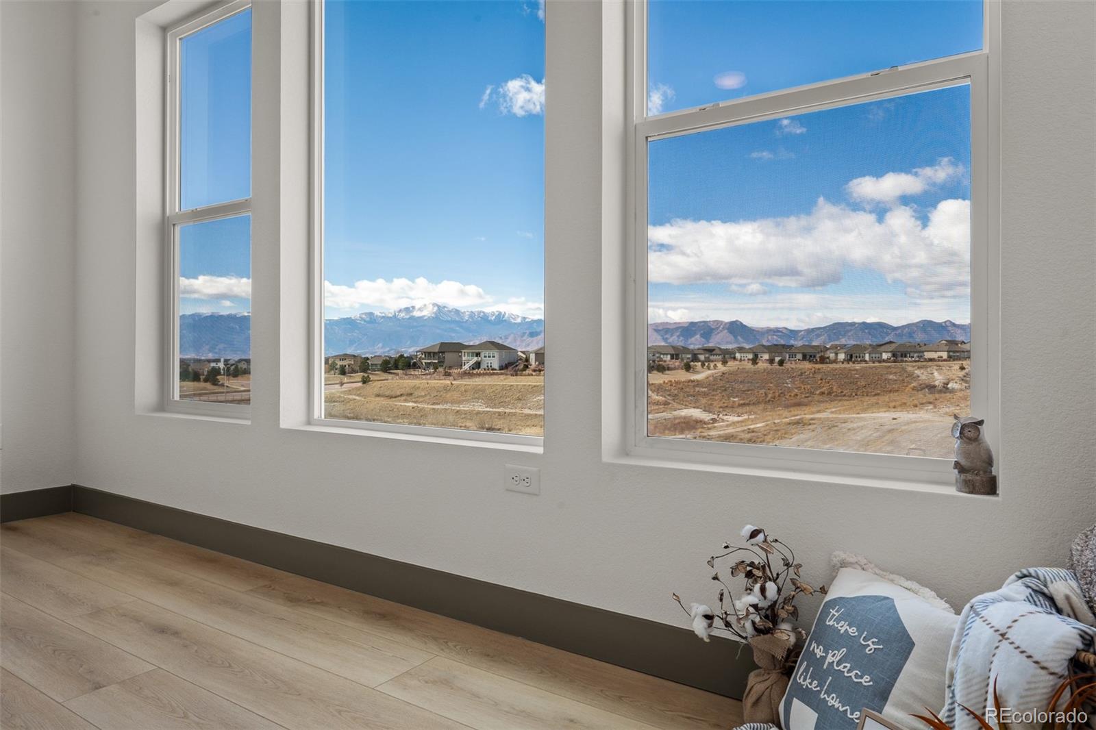 MLS Image #20 for 8980  frolic view,colorado springs, Colorado