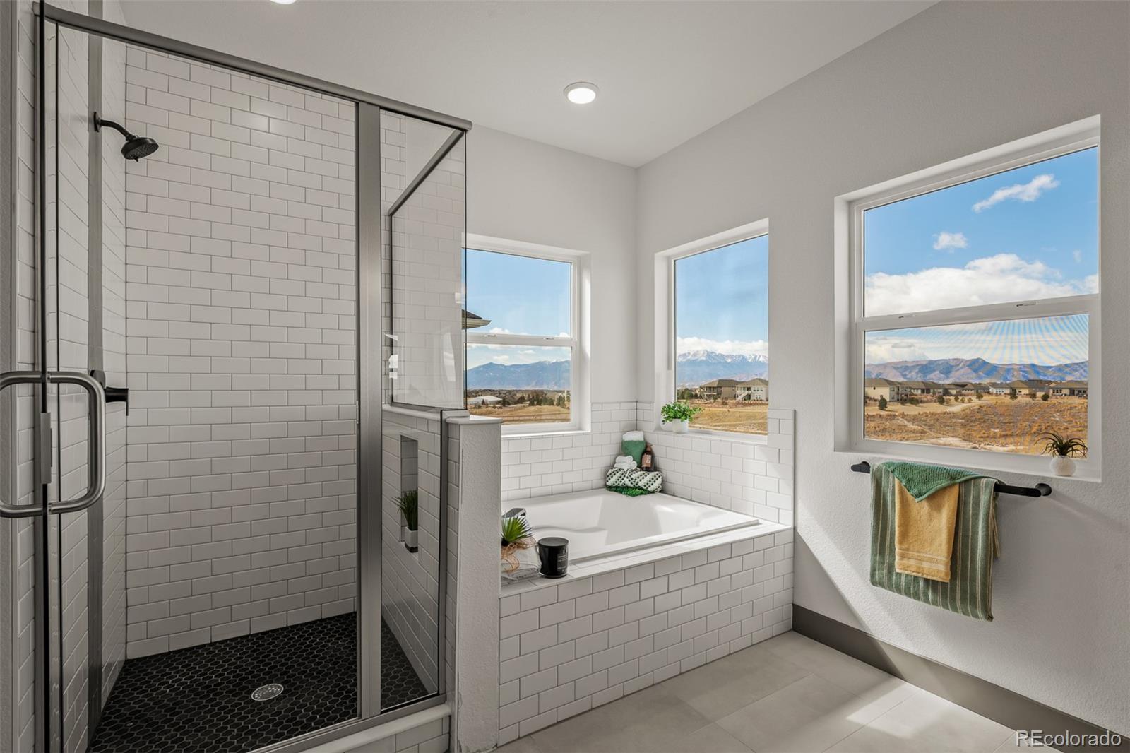 MLS Image #22 for 8980  frolic view,colorado springs, Colorado