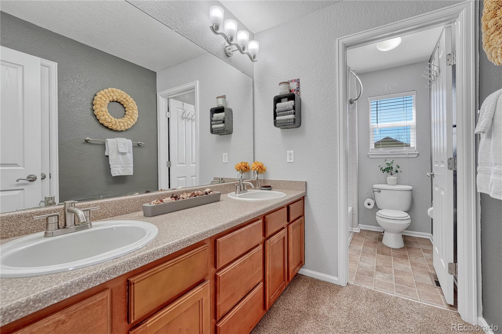 MLS Image #26 for 11926 s black horn circle,parker, Colorado
