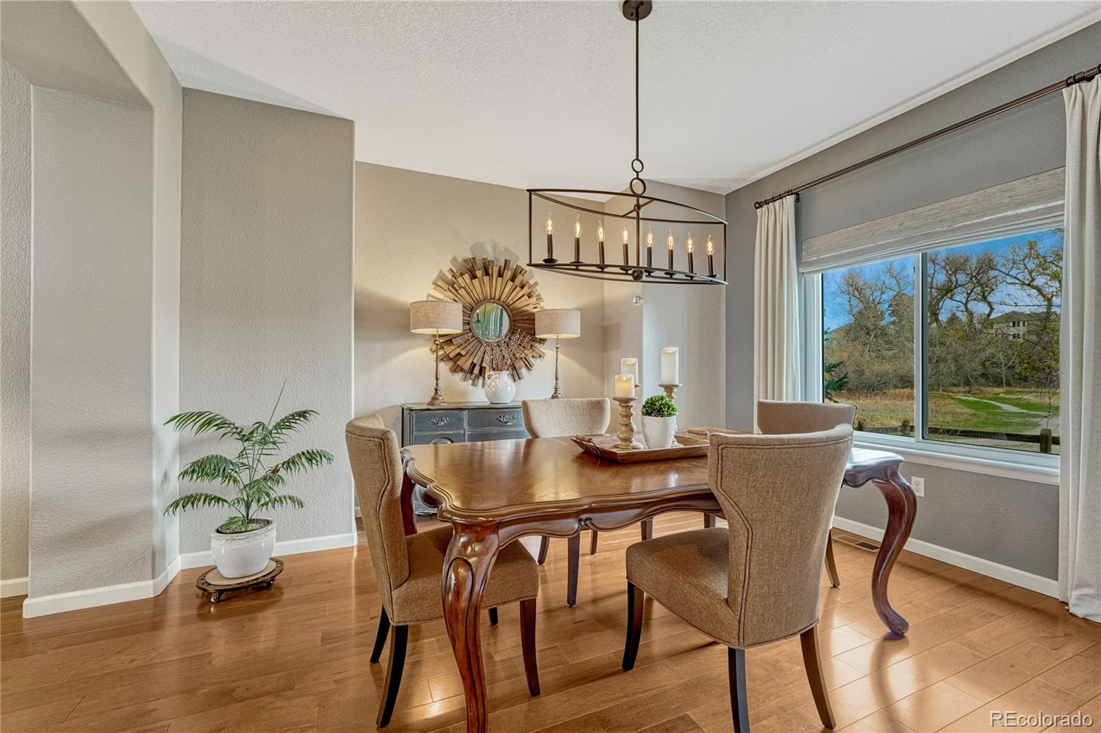 MLS Image #12 for 22315  quail run way,parker, Colorado