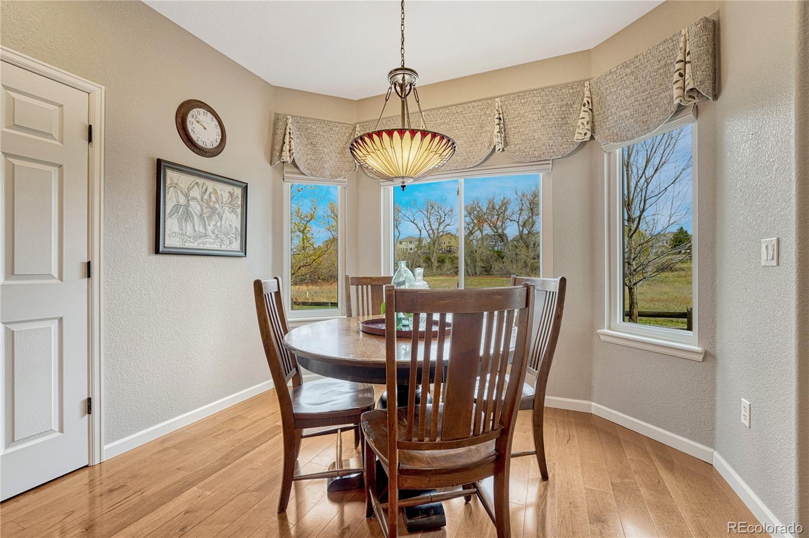 MLS Image #17 for 22315  quail run way,parker, Colorado