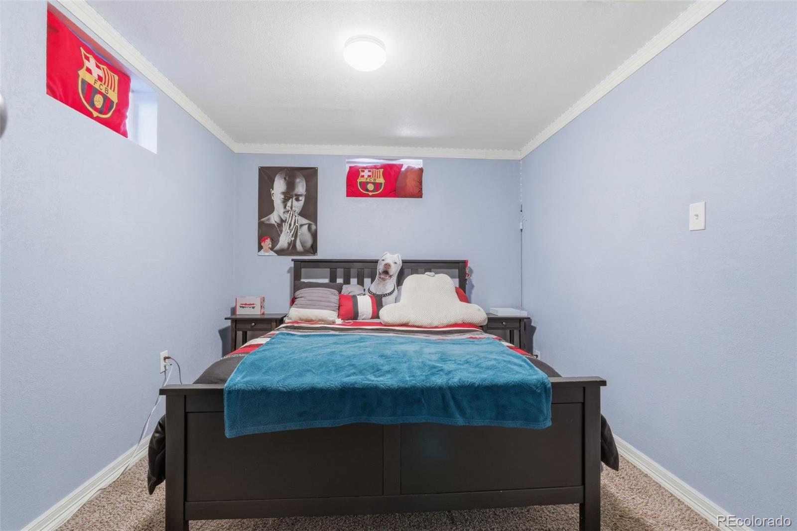 MLS Image #19 for 265  linda sue lane,northglenn, Colorado