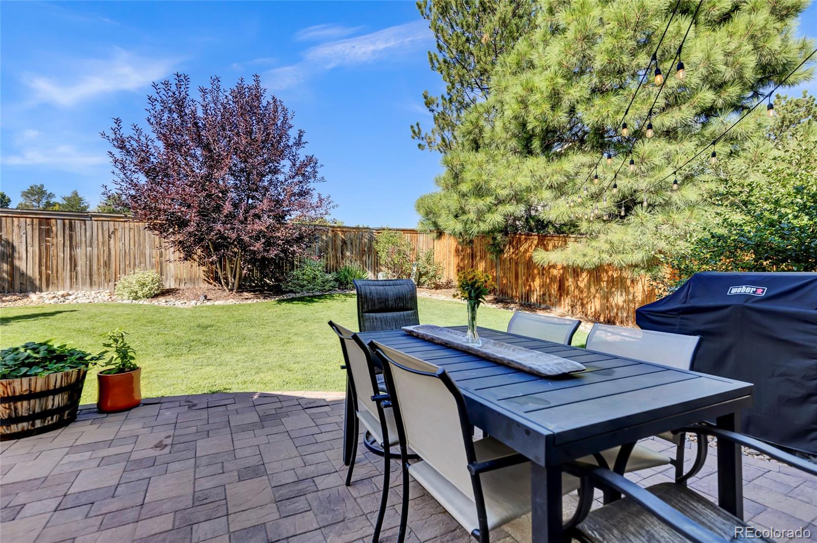 MLS Image #37 for 15672  greenstone lane,parker, Colorado