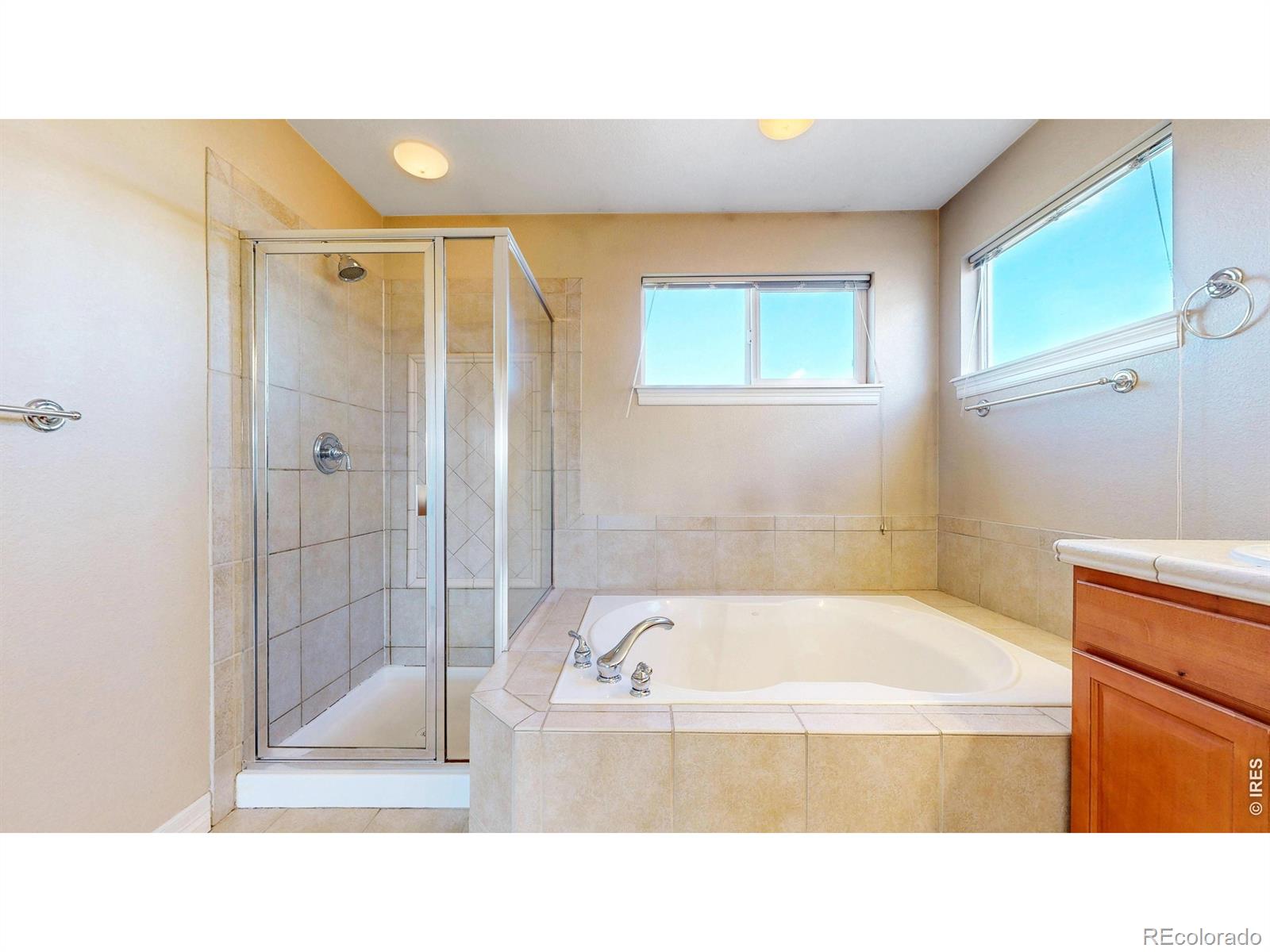 MLS Image #31 for 16811  roberts street,mead, Colorado