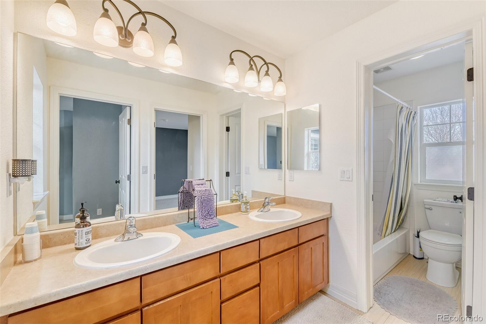 MLS Image #19 for 5124  river rock lane,broomfield, Colorado