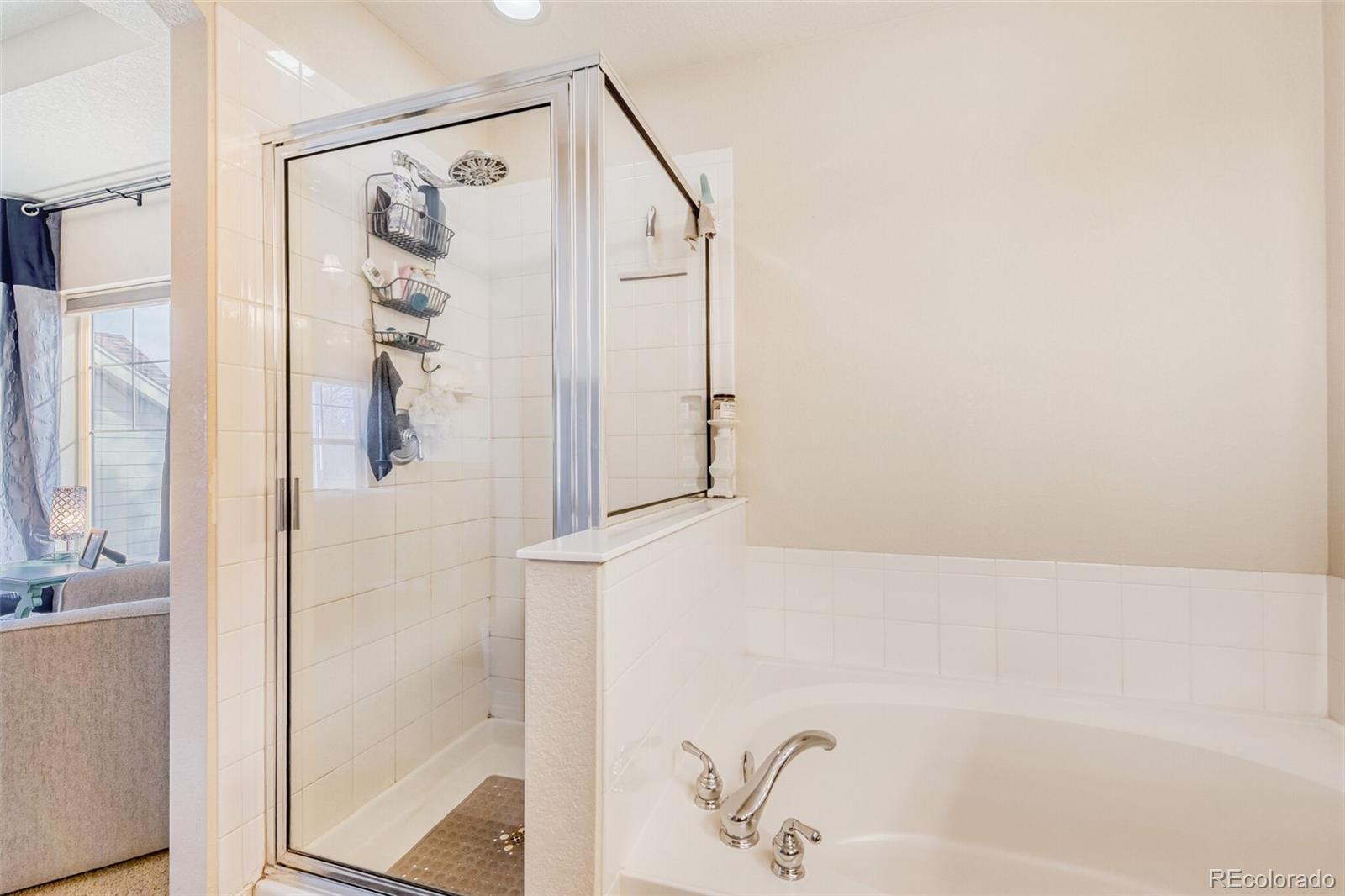 MLS Image #20 for 5124  river rock lane,broomfield, Colorado