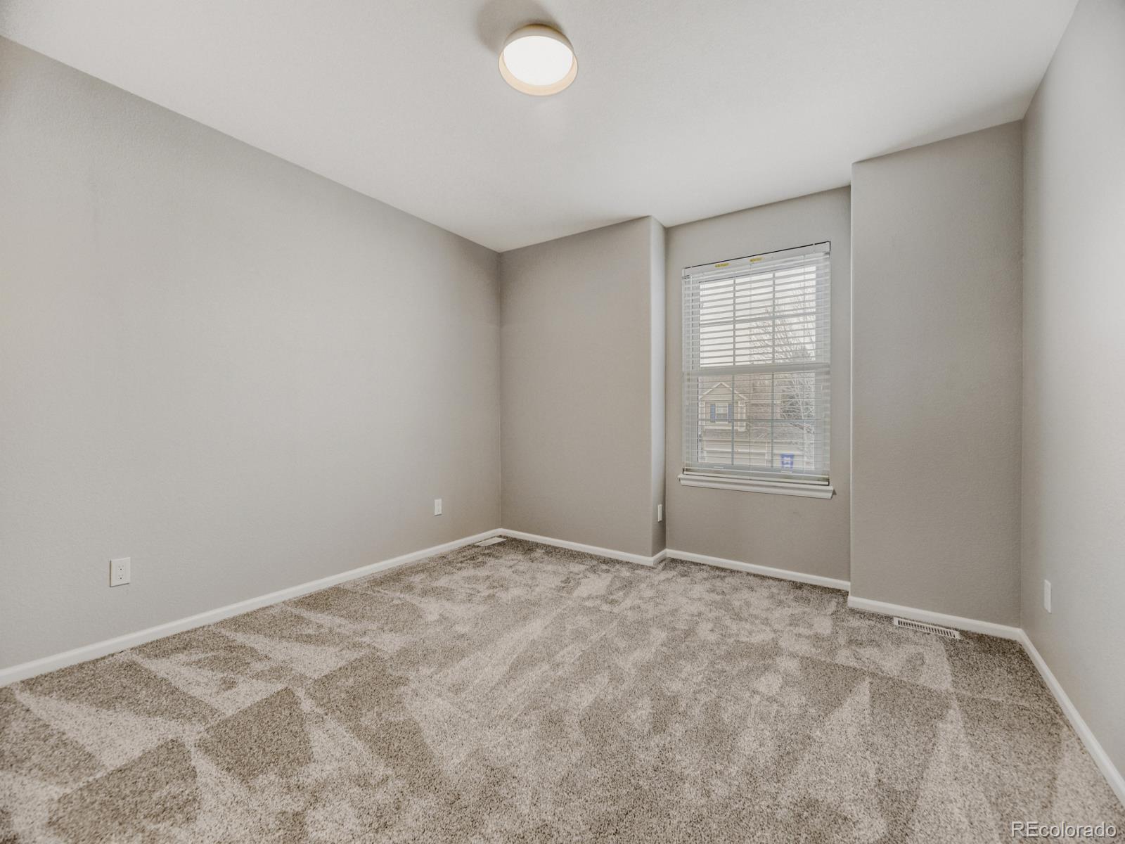 MLS Image #21 for 3818  mallard drive,highlands ranch, Colorado
