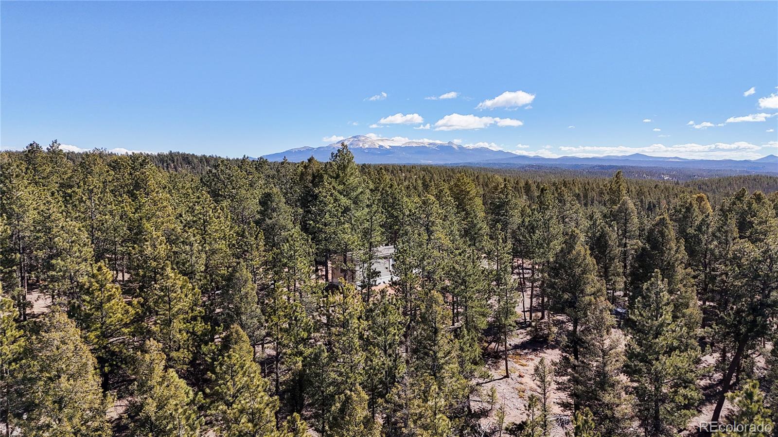 MLS Image #1 for 509  john drive,divide, Colorado