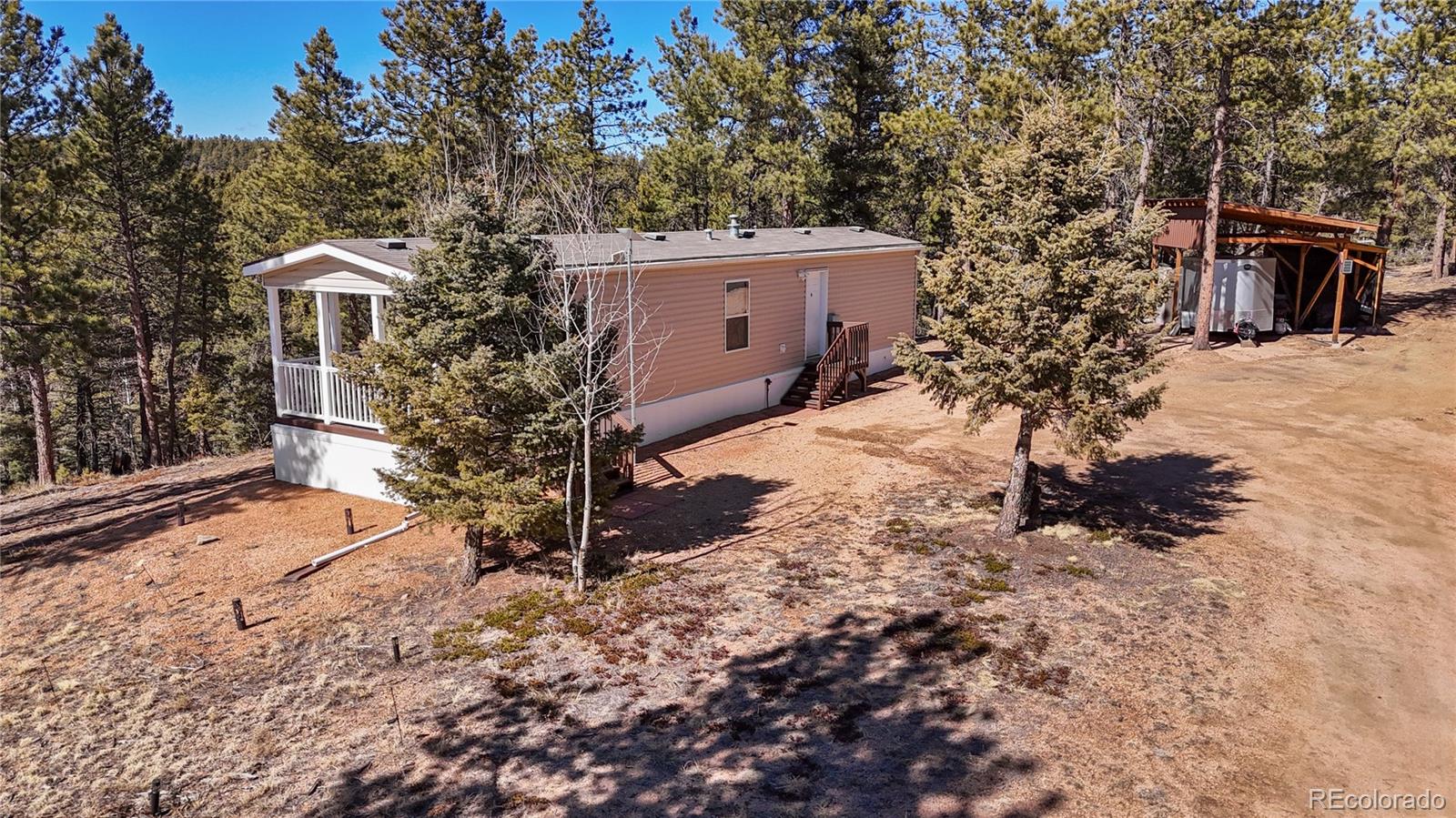 MLS Image #11 for 509  john drive,divide, Colorado