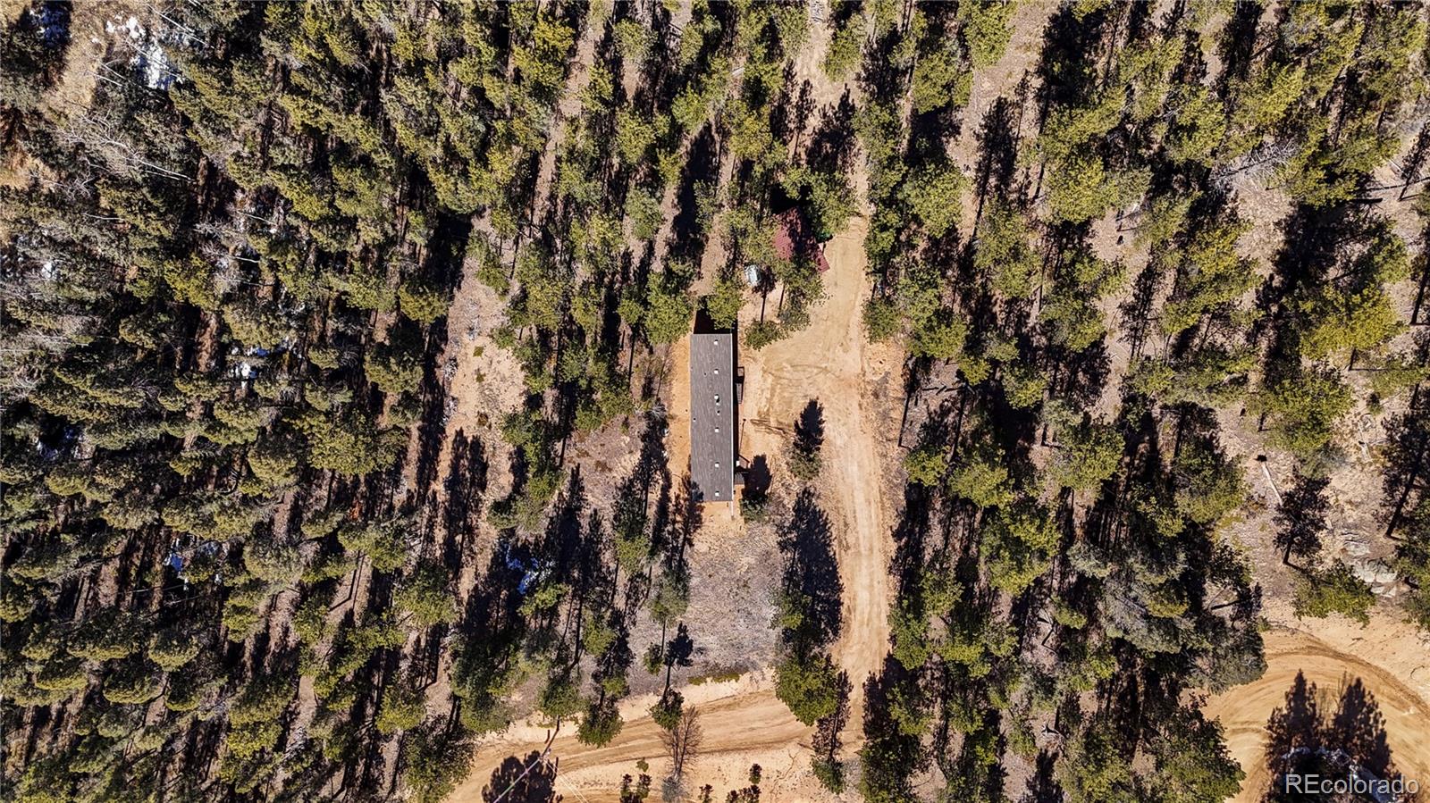 MLS Image #12 for 509  john drive,divide, Colorado