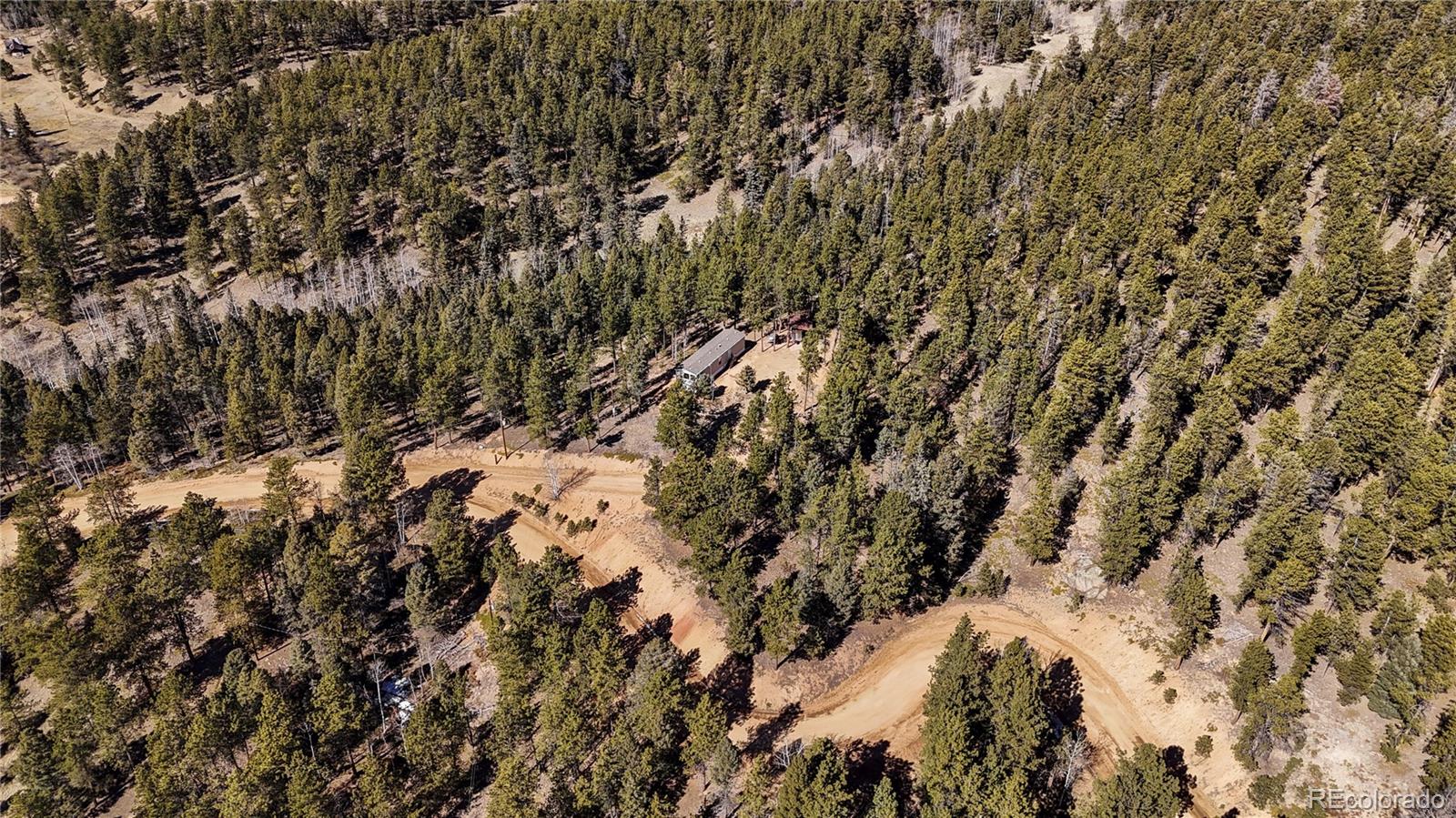 MLS Image #13 for 509  john drive,divide, Colorado