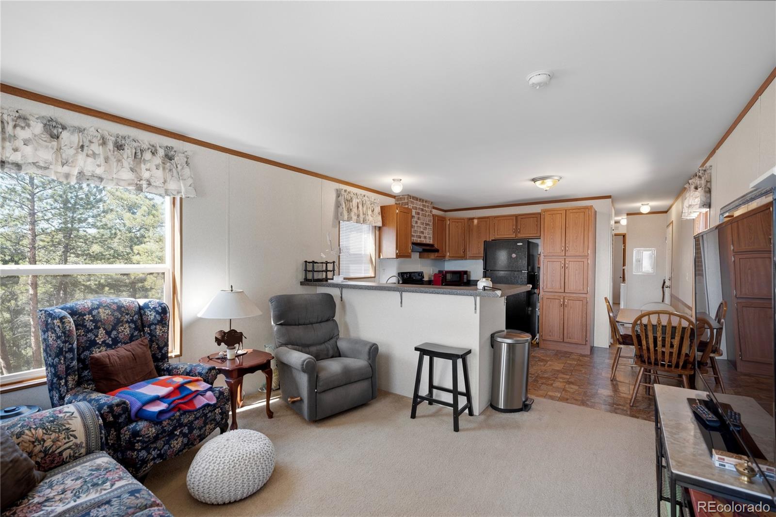 MLS Image #2 for 509  john drive,divide, Colorado