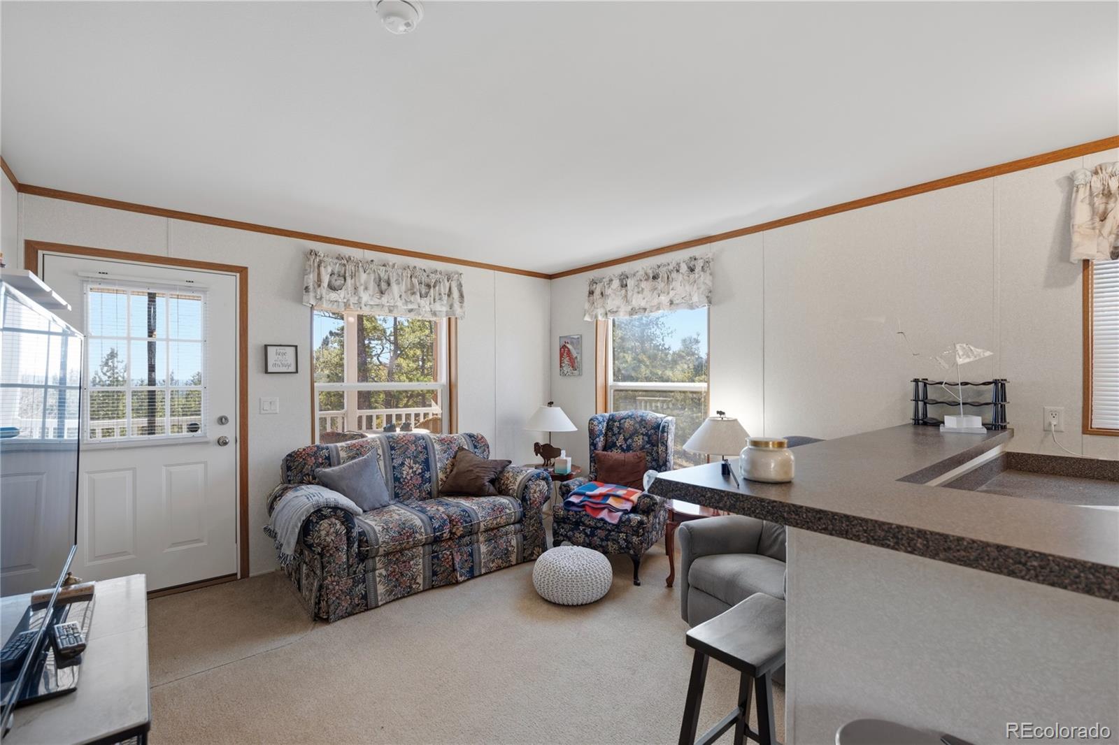 MLS Image #3 for 509  john drive,divide, Colorado