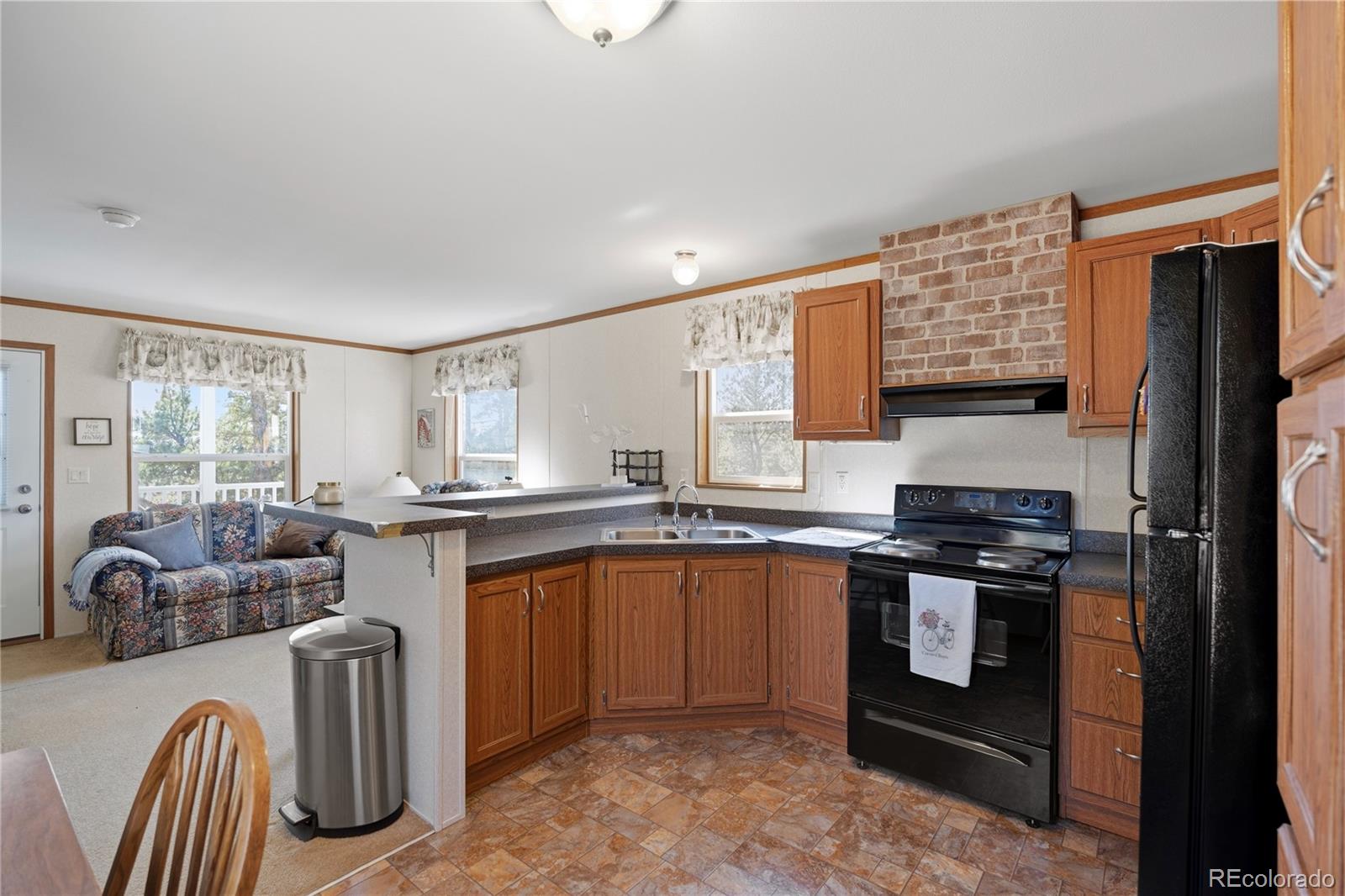 MLS Image #4 for 509  john drive,divide, Colorado