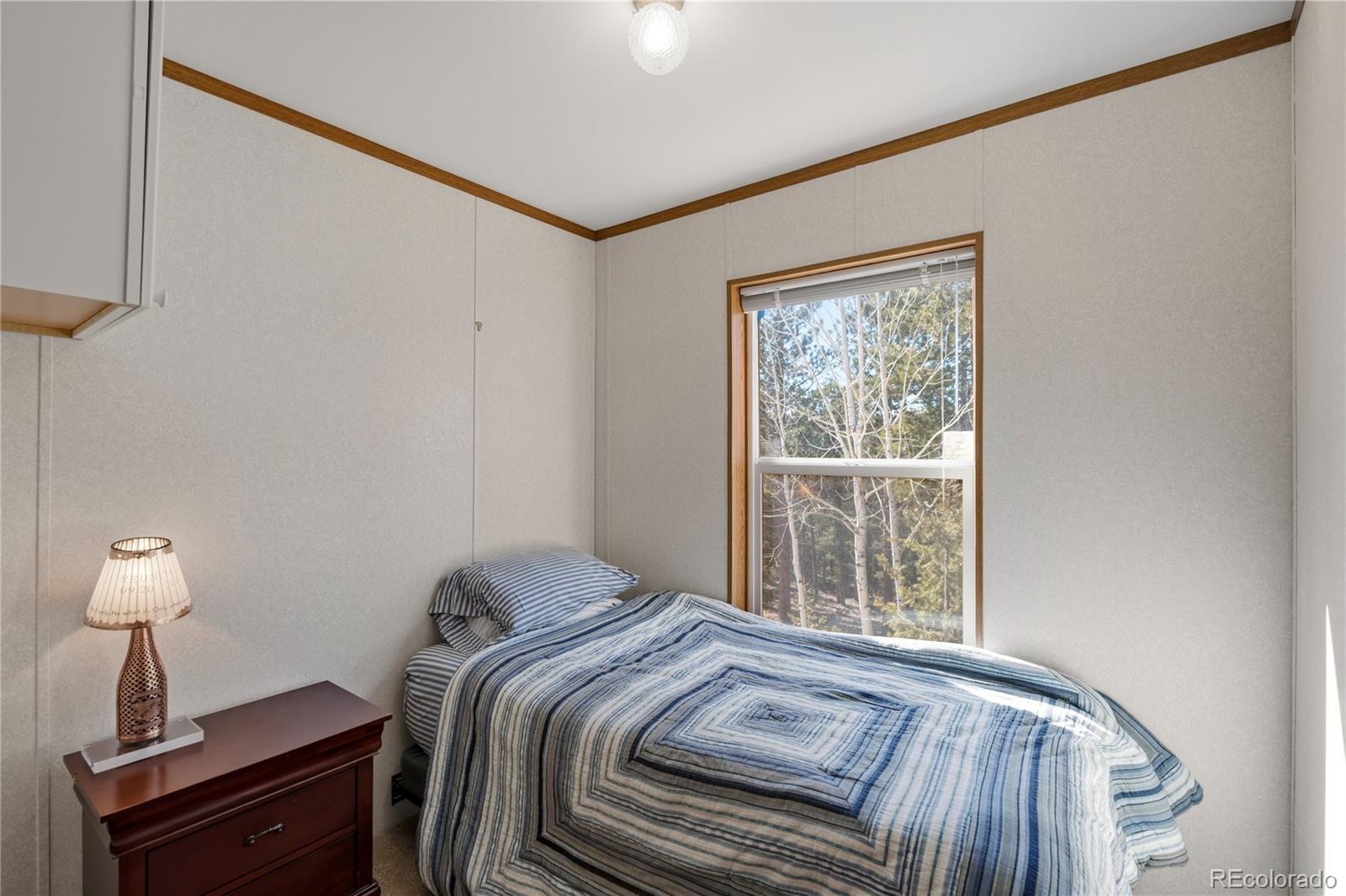 MLS Image #5 for 509  john drive,divide, Colorado