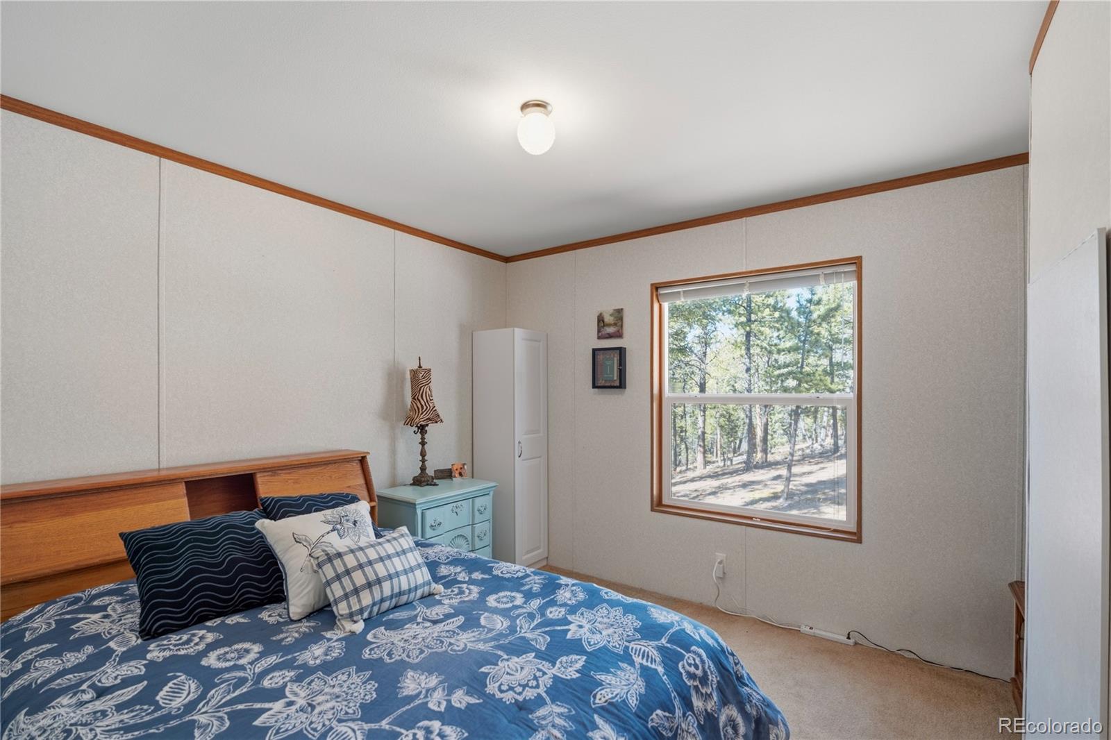 MLS Image #7 for 509  john drive,divide, Colorado