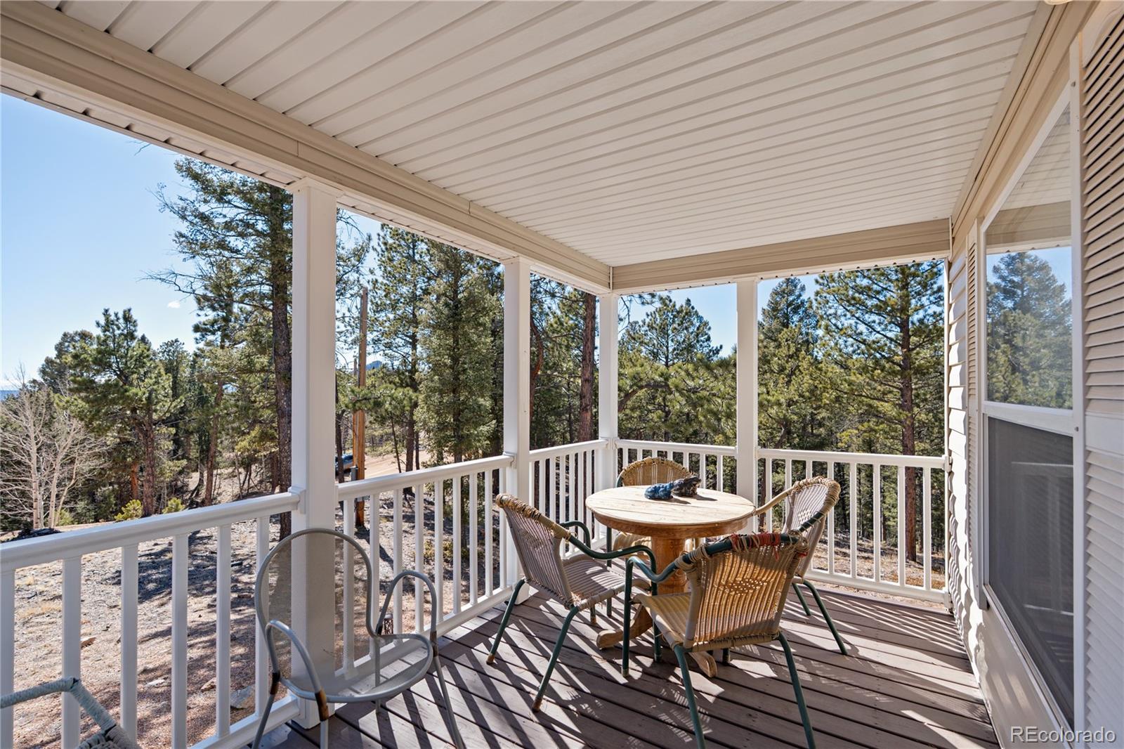 MLS Image #9 for 509  john drive,divide, Colorado