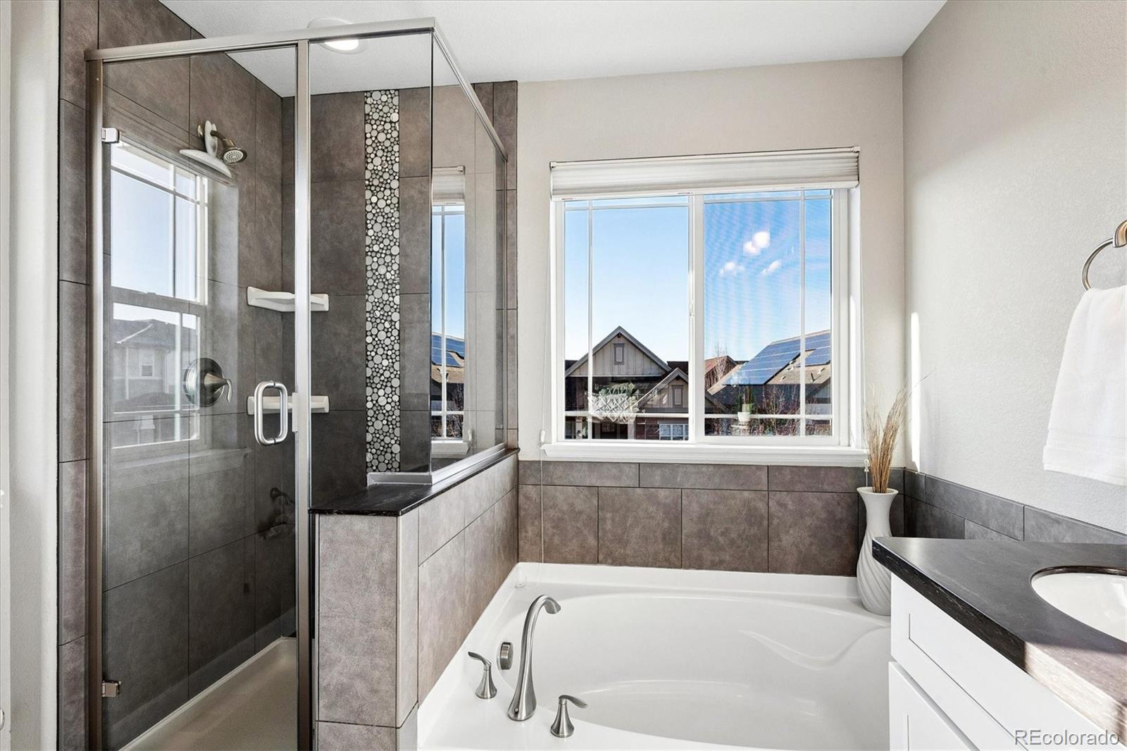 MLS Image #20 for 11003 e 28th place,denver, Colorado