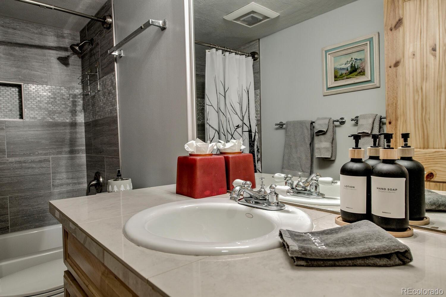 MLS Image #27 for 9379  state hwy 9  p6,breckenridge, Colorado