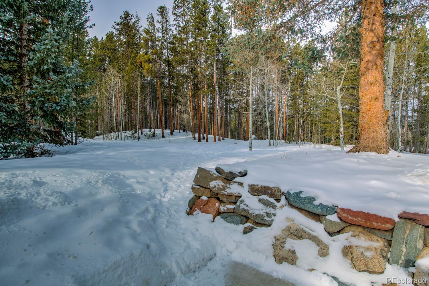MLS Image #32 for 9379  state hwy 9  p6,breckenridge, Colorado