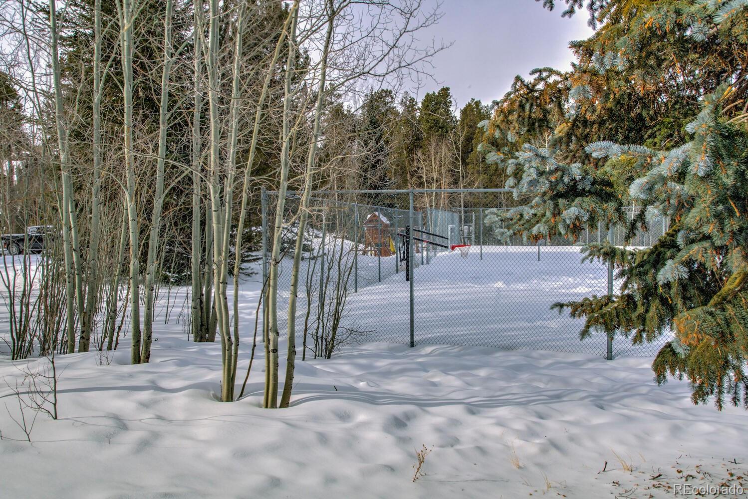 MLS Image #43 for 9379  state hwy 9  p6,breckenridge, Colorado