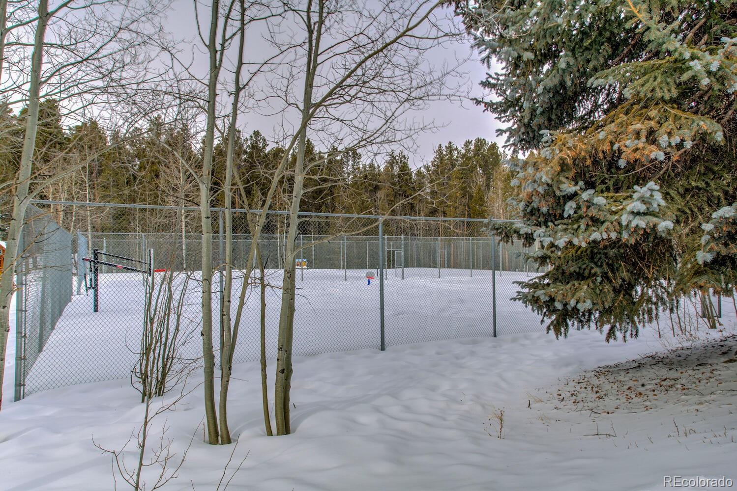 MLS Image #44 for 9379  state hwy 9  p6,breckenridge, Colorado