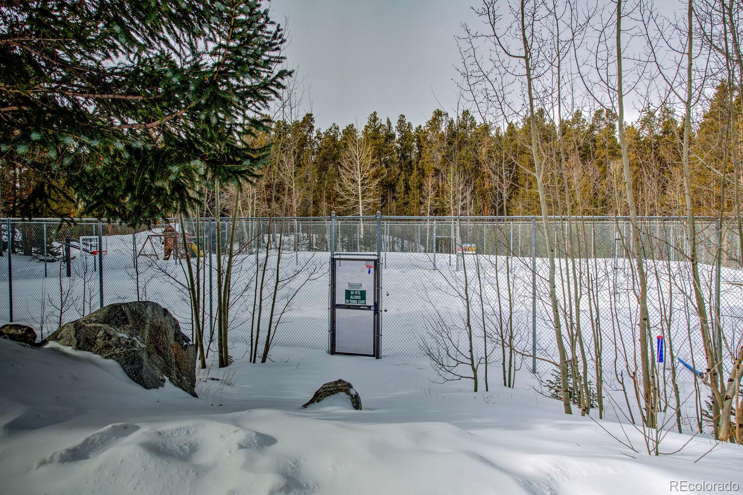 MLS Image #45 for 9379  state hwy 9  p6,breckenridge, Colorado