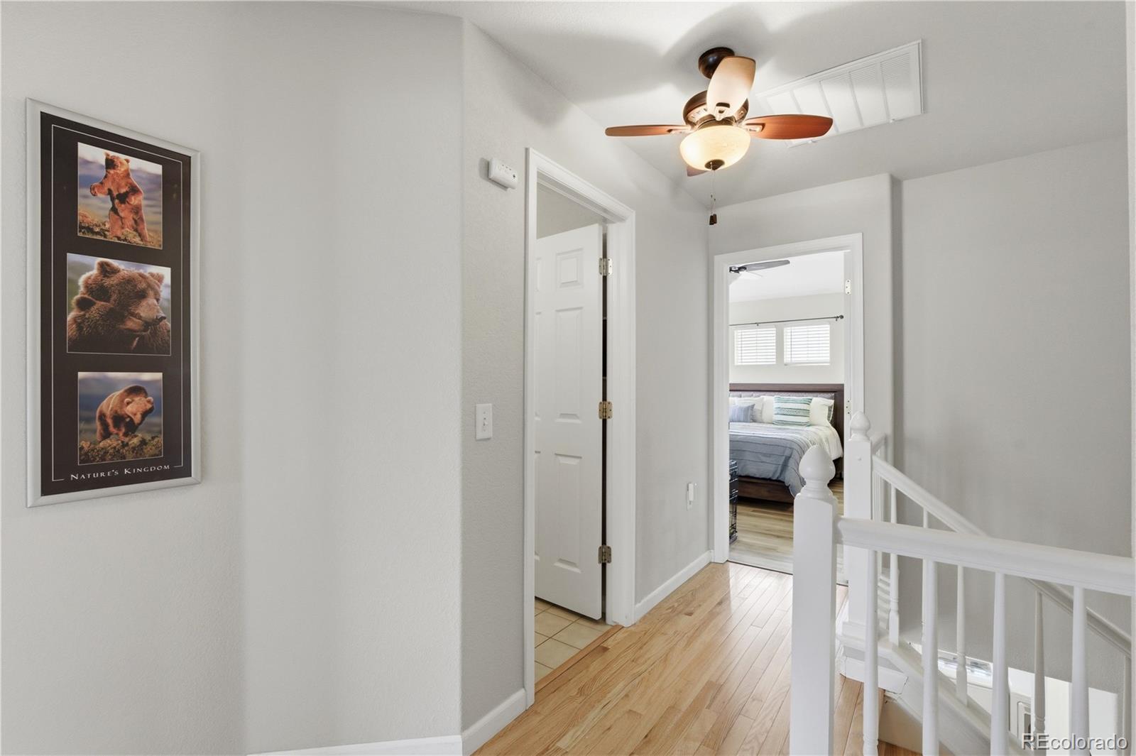 MLS Image #28 for 1497  red peak drive,castle rock, Colorado