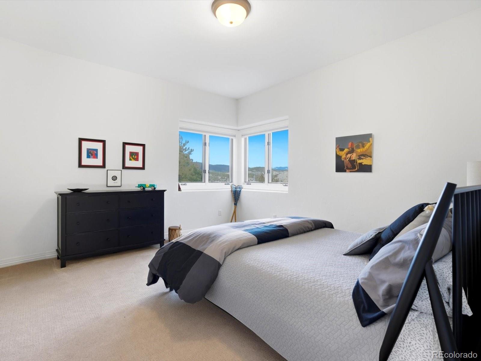 MLS Image #39 for 290  skyhill dr ,evergreen, Colorado