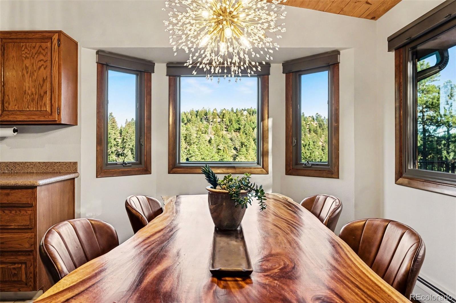 MLS Image #13 for 6333  starlight drive,morrison, Colorado