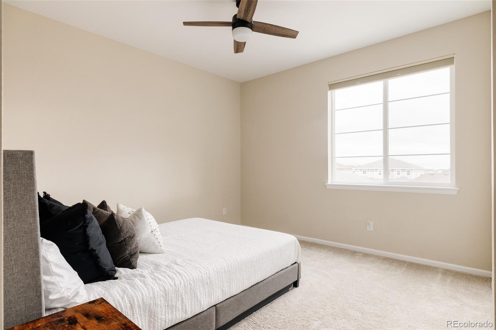 MLS Image #12 for 2775  morningbird lane,castle rock, Colorado