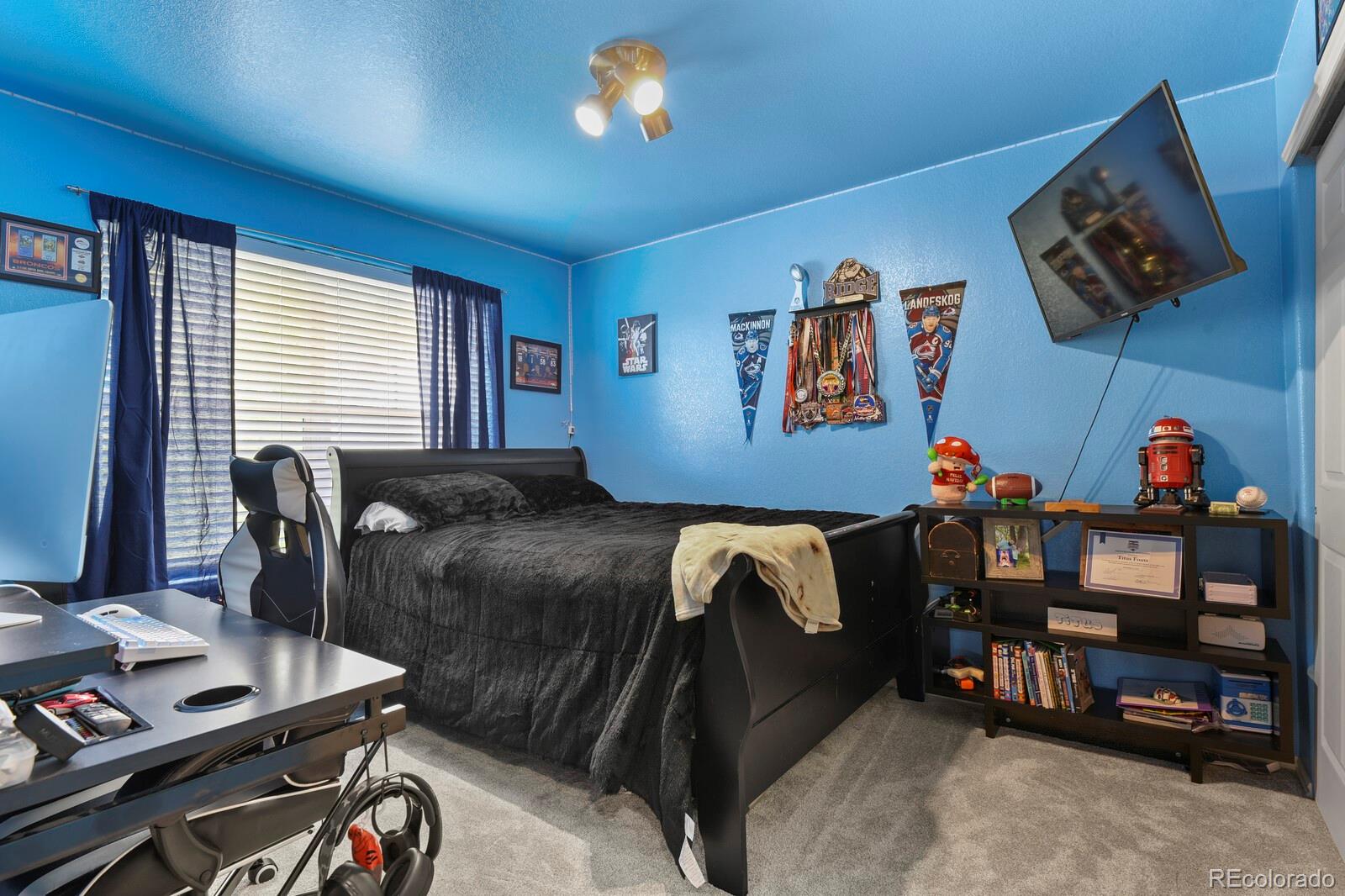 MLS Image #32 for 11630  columbine street,thornton, Colorado
