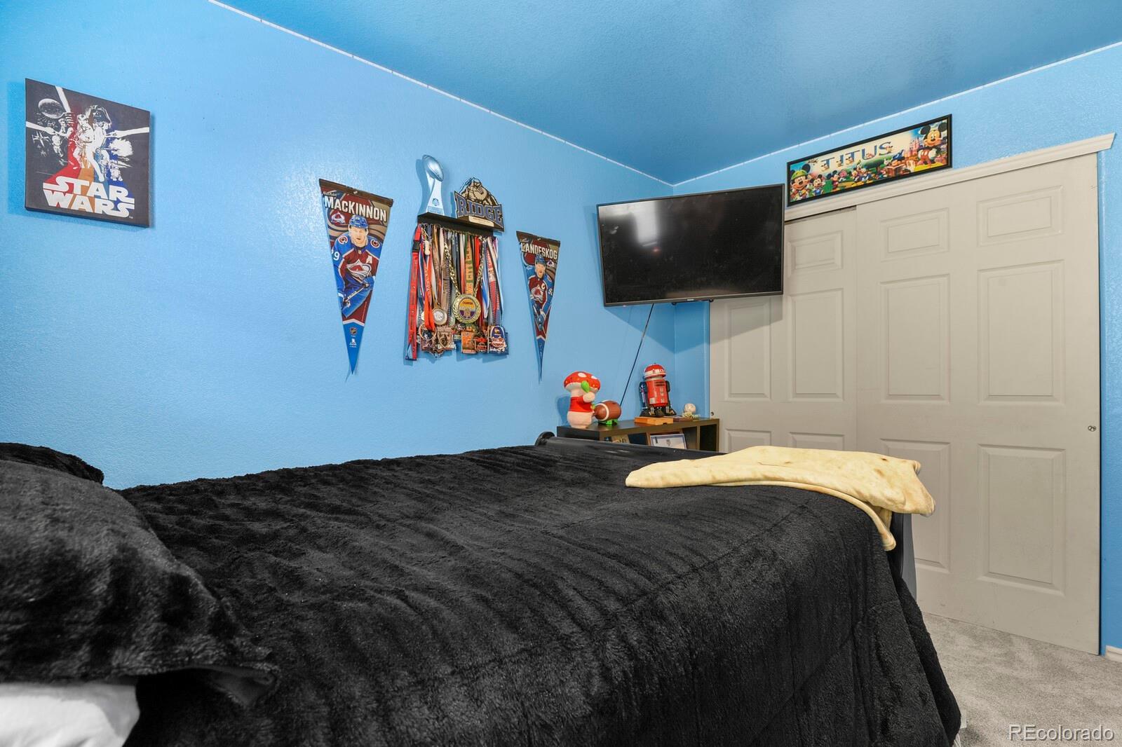 MLS Image #33 for 11630  columbine street,thornton, Colorado